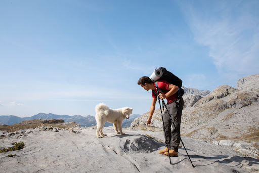 5 Important Dog Hiking Tips and a Few More