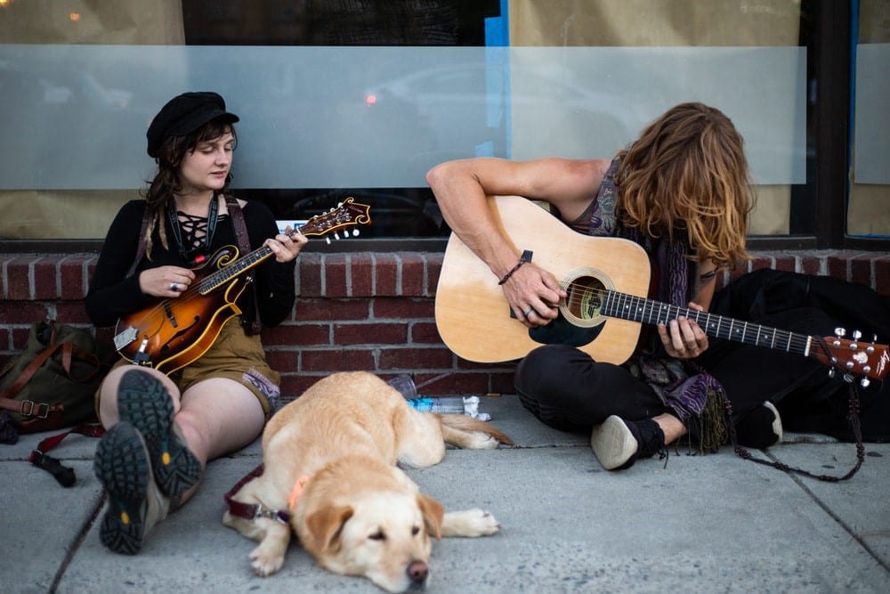 6 Ways to Calm A Dog with Anxiety