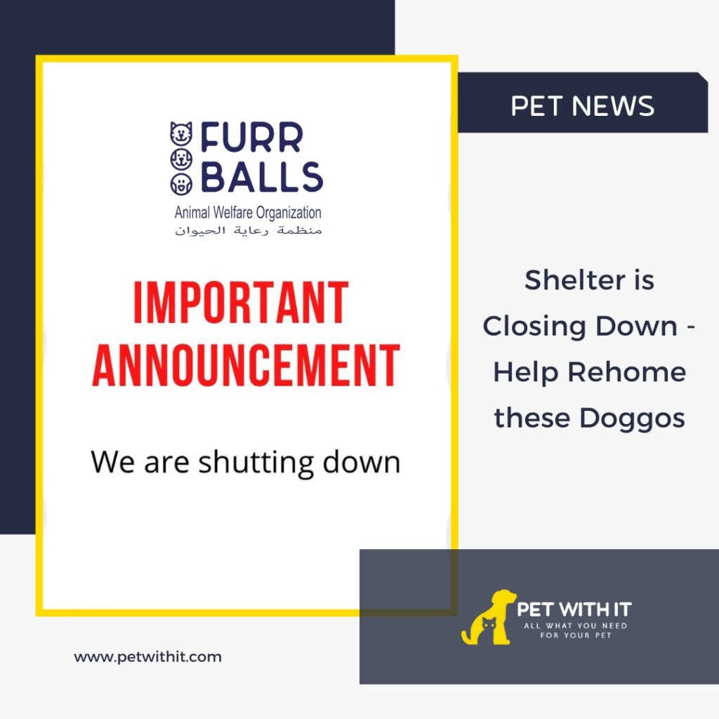 A shelter is closing down