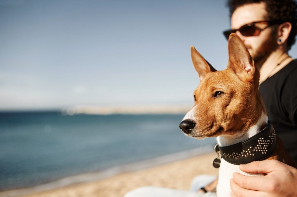 Best 5 Pet Friendly Places for the Weekend