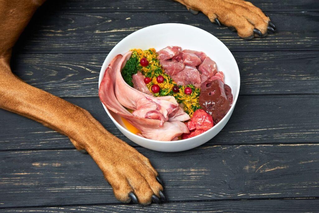 DOG RAW FOOD - EVERYTHING YOU NEED TO KNOW