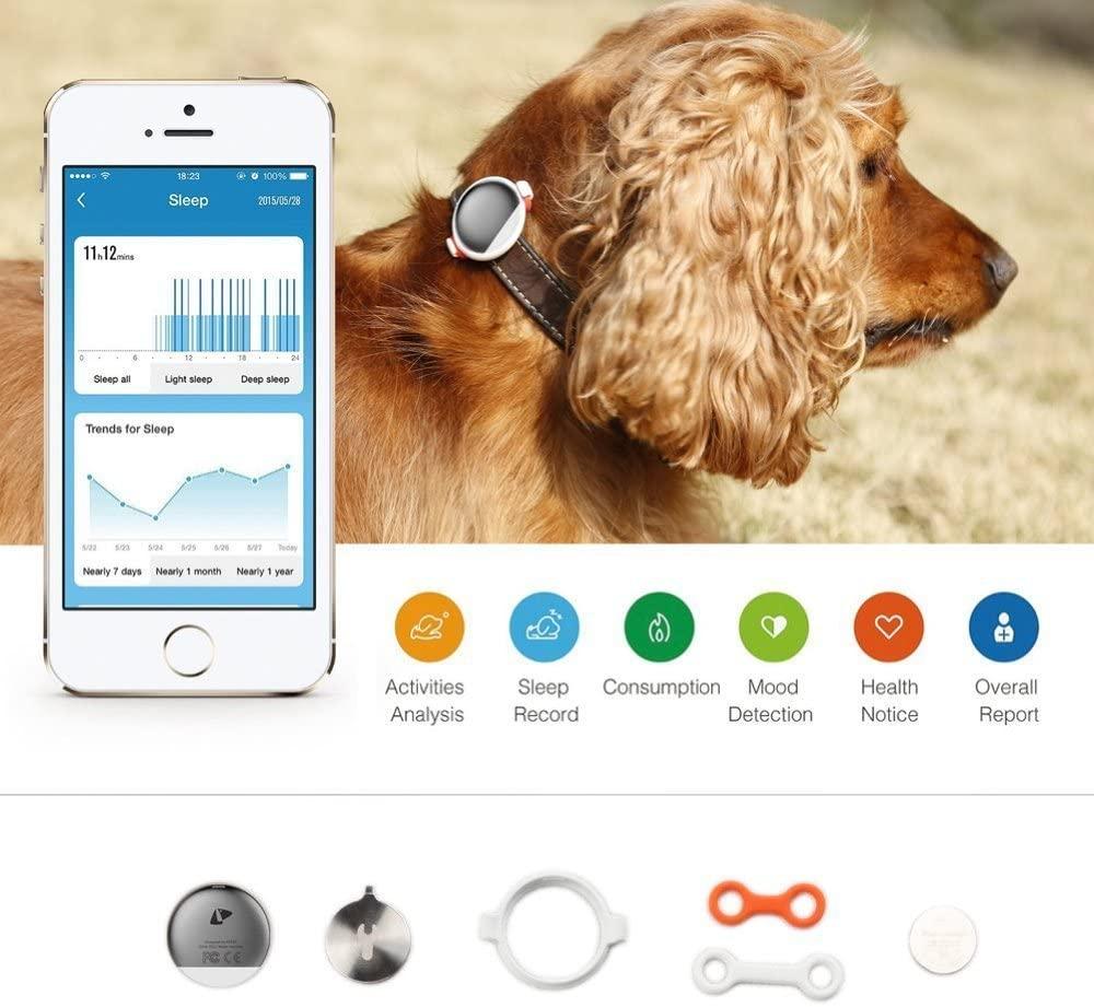 Dog Activity tracker