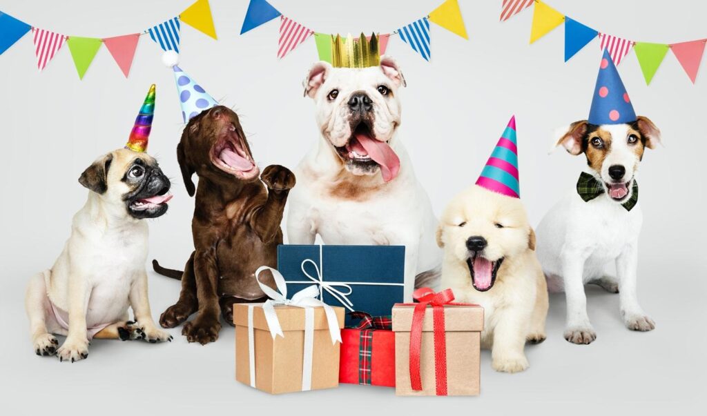 Dog Birthday Party