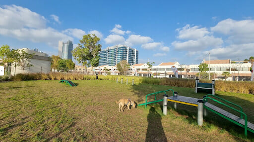 Dog Friendly Park in Abu Dhabi