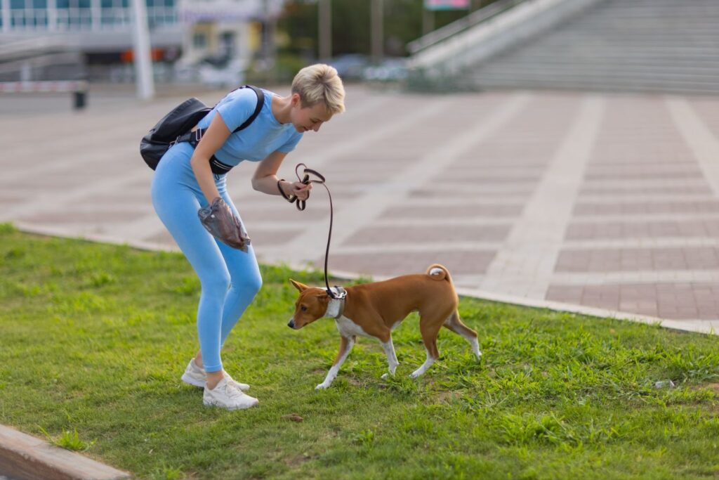 Dog Waste Management