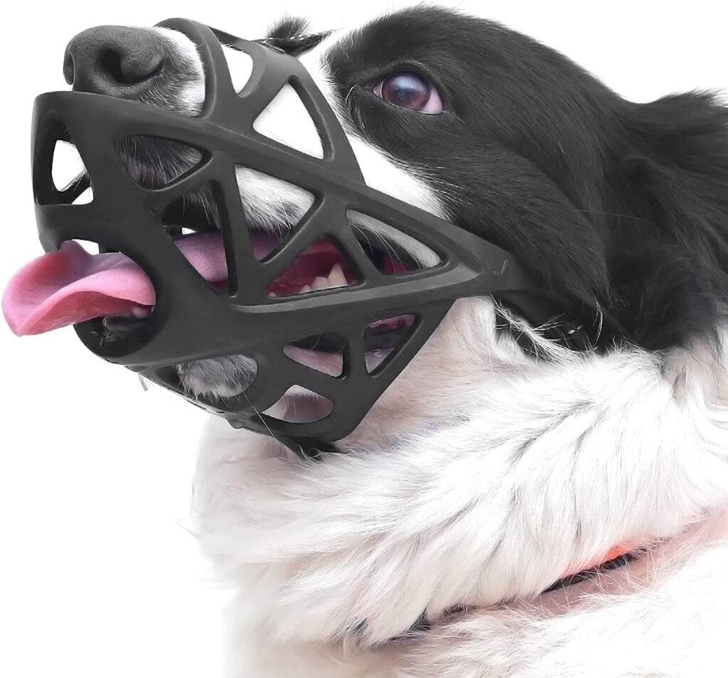 Dog muzzle