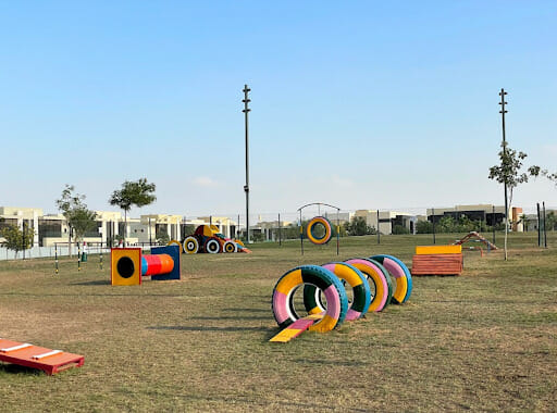 Central Bark Dog Park