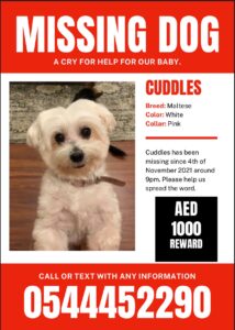 Missing Dog in Dubai