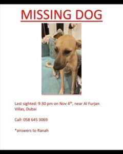 Missing Dog in Furjan