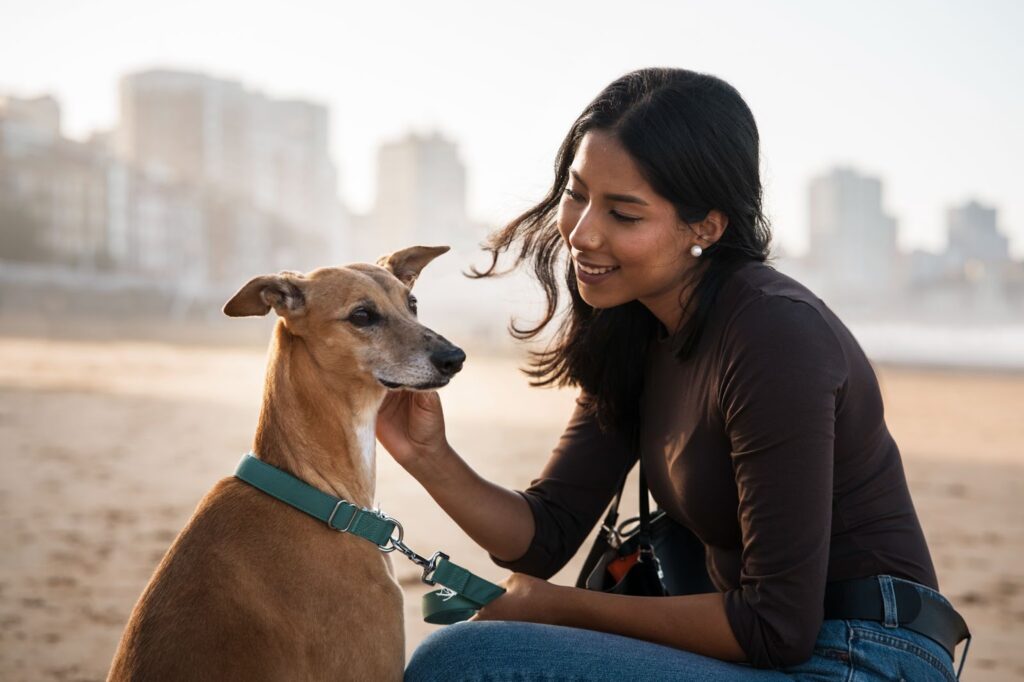 Moving to the UAE with Your Dog