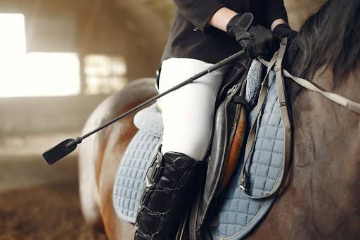 Places for Horse Riding in UAE