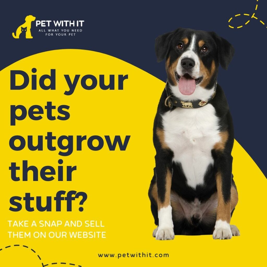 Sell your pets used items