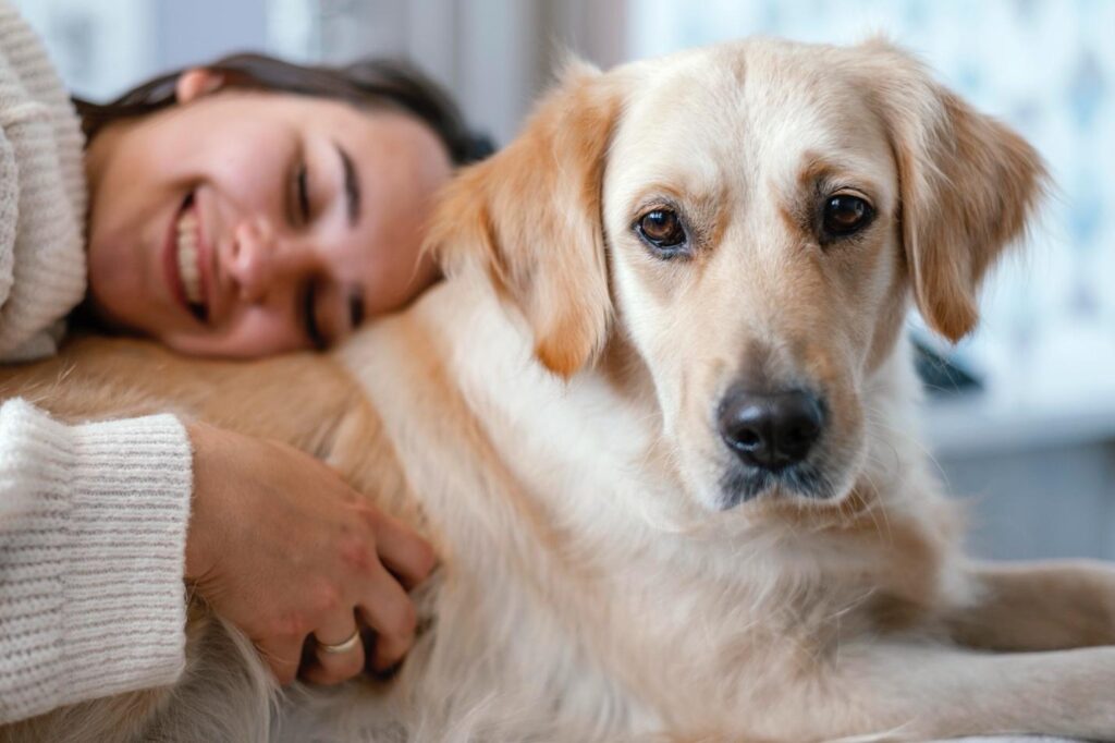 Reasons to be Grateful for Your Dog