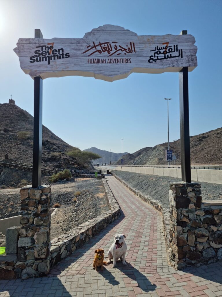 Seven Summit Fujairah