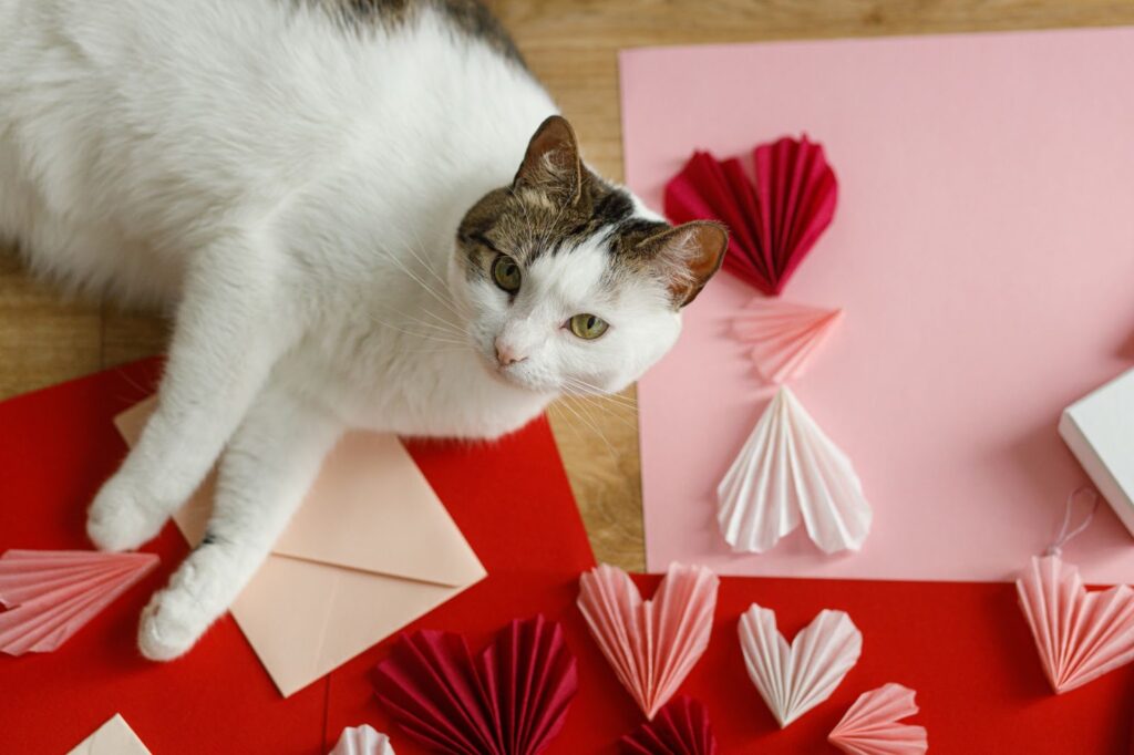 Valentine's Day With Your Pet