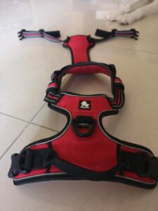 used dog harness for sale uae||