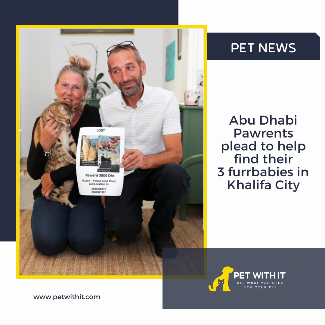 Abudhabi cat owners