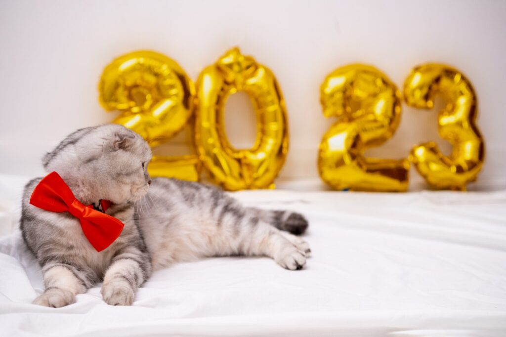 Pet friendly new year