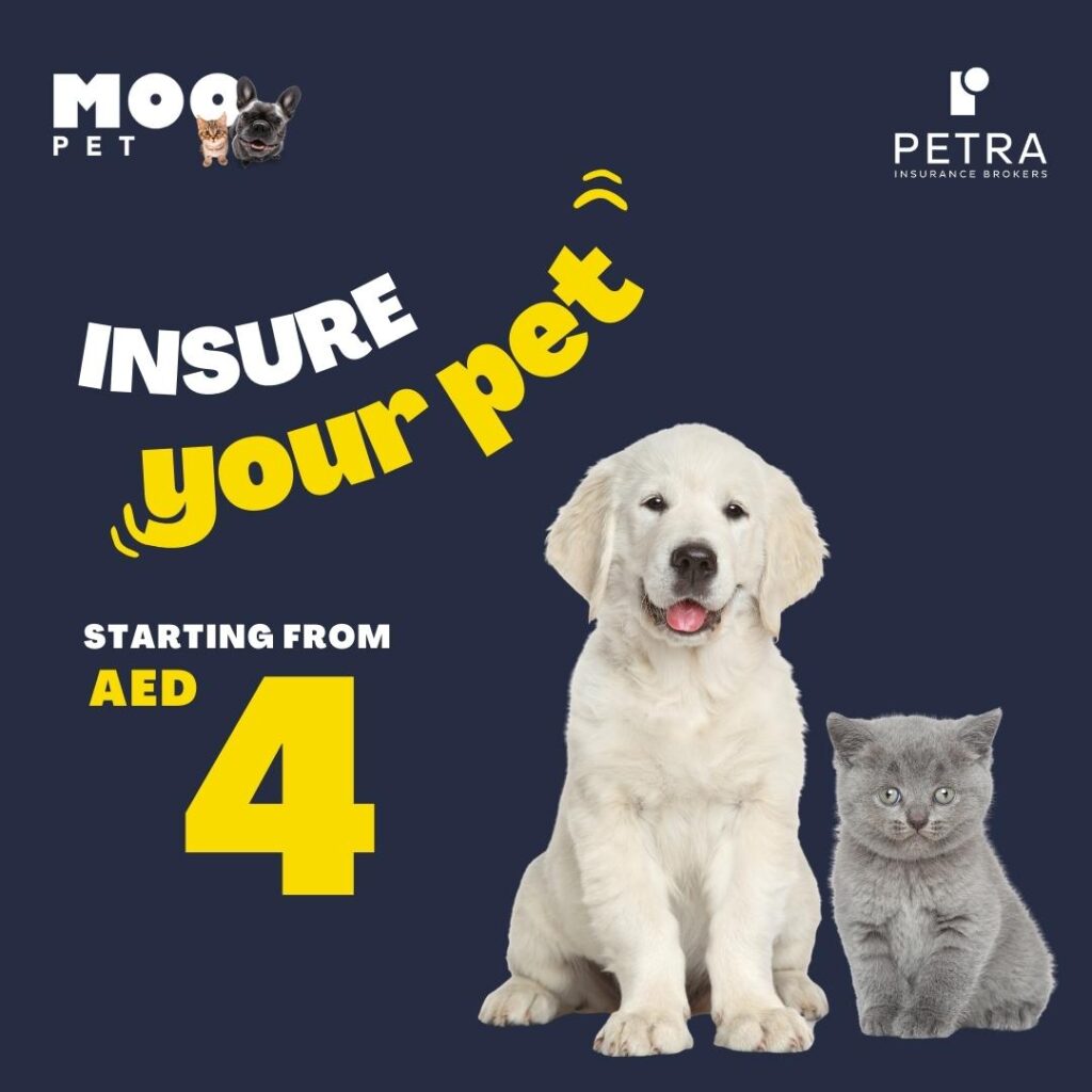 Moo Pet Insurance