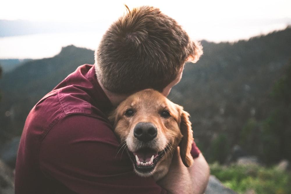 gifts for dog dads