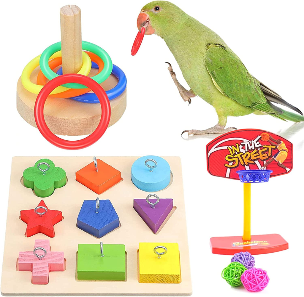 bird toys
