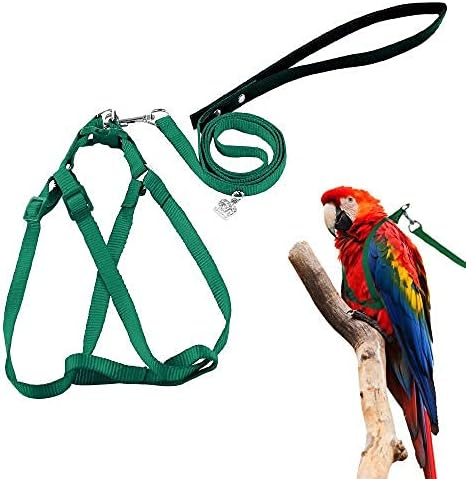 bird leash