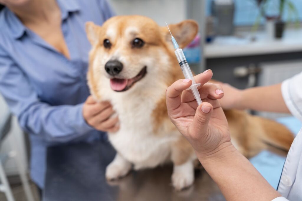 Dog Rabies in Dubai