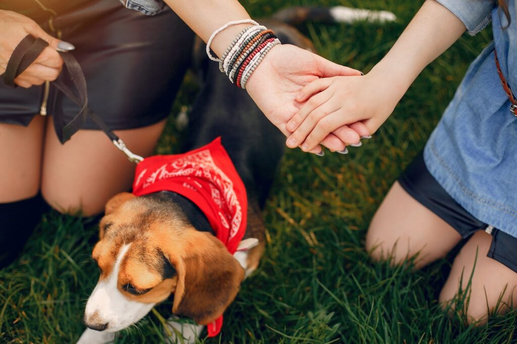 Weekend Pet Events Across the UAE