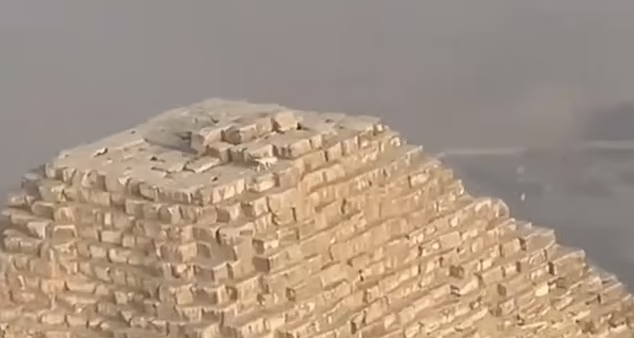 Dog on top of the Great Pyramid of Giza